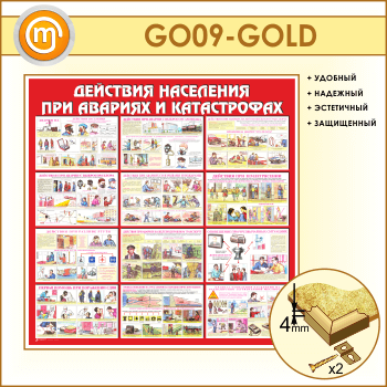 ����� ��������� ��������� ��� ������� � ������������ (GO-09-GOLD)