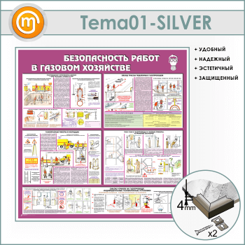 ����� ������������� ����� � ������� ��������� (TM-01-SILVER)