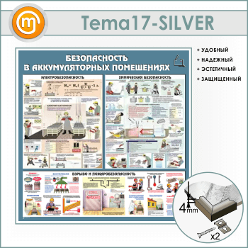 ����� ��������������� ���������� (TM-17-SILVER)