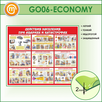 ����� ��������� ��������� ��� ������� � ������������ (GO-06-ECONOMY)