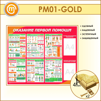 ����� ��������� ������ ������ � ������� � �������� ��������� (PM-01-GOLD)