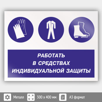 ���� ��������� � ��������� �������������� �������, ��-81 (������, 400�300 ��)