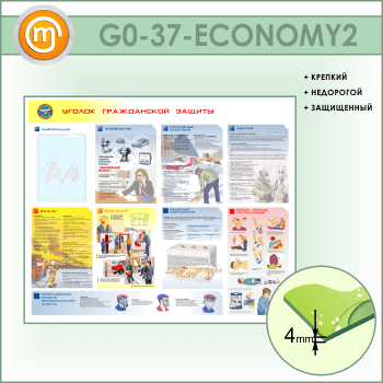 ����� ������� ����������� ������� � �������� (GO-37-ECONOMY2)