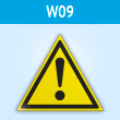 ���� W09 ���������! ��������� (������ ���������)� (�������, ������� 200 ��)